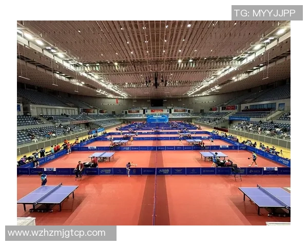 杭州乒乓球队节奏创新高引发全国关注助力乒乓球发展新篇章 杭州乒乓球队节奏创新高引发全国关注助力乒乓球发展新篇章