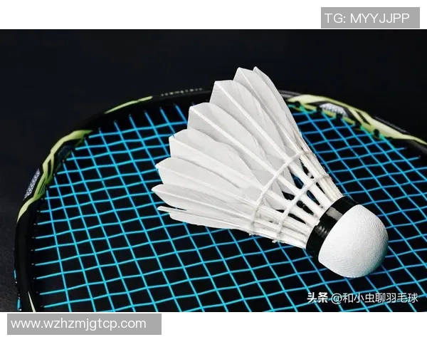 羽毛球的艺术与战术：深入分析北京羽毛球队的进攻策略与技巧