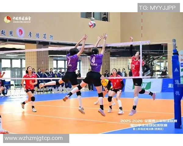 数据分析：重庆排球队的力量表现