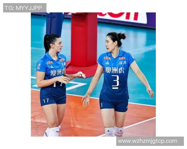 数据分析：深圳排球队的个人能力表现